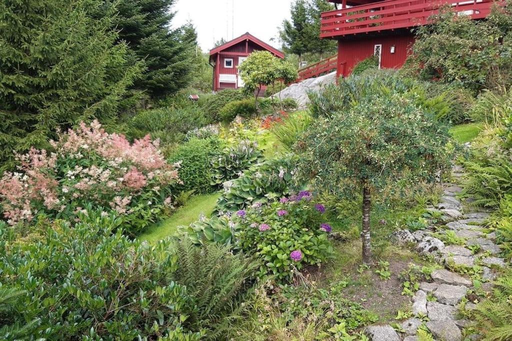 Gemuetliches Helles Am Mit Panoramaseeblick + Huette Und Nahe Ferienhaus